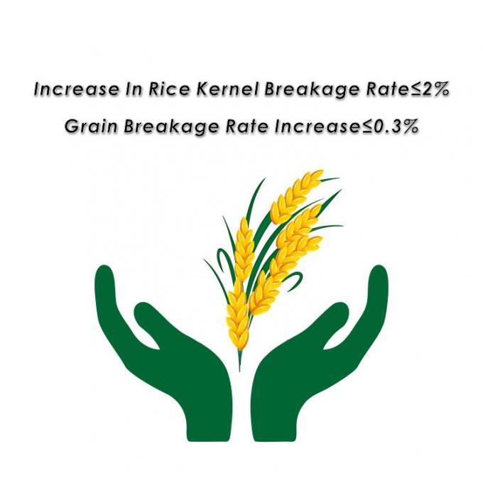 Asciugatrice di paddy torre per l'asciugatura di riso mais e altri cereali 5HPX-15 9.95kw Dimensione totale 2500*4320*10200m 2