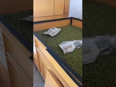 asciugatrice di ventilazione a letto soleggiato