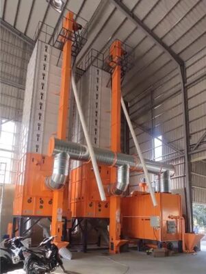 Prezzo buono 15 tonnellate di automazione completa Paddy Dryer crudo cotto a vapore continuo in linea