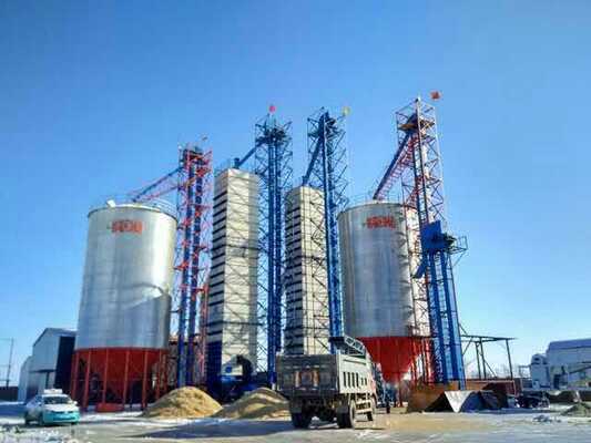 Prezzo buono calore 200tpd che ricicla la riseria Paddy Dryer Direct Storage crudo in linea