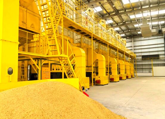 Prezzo buono 100 tonnellate di granoturco di essiccatore della cariosside lavorano tutto l'essiccamento a macchina delle direzioni in linea