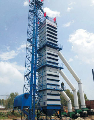 Prezzo buono Pressione negativa di granturco dell'essiccazione dei cereali 20TPH dell'essiccatore meccanico della pannocchia in linea